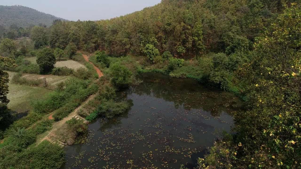  ଭୂତଳ ଜଳସ୍ତର ବୃଦ୍ଧି, ମୃତ୍ତିକା କ୍ଷୟ ନିୟନ୍ତ୍ରଣ ଲାଗି ବିଶେଷ ପଦକ୍ଷେପ