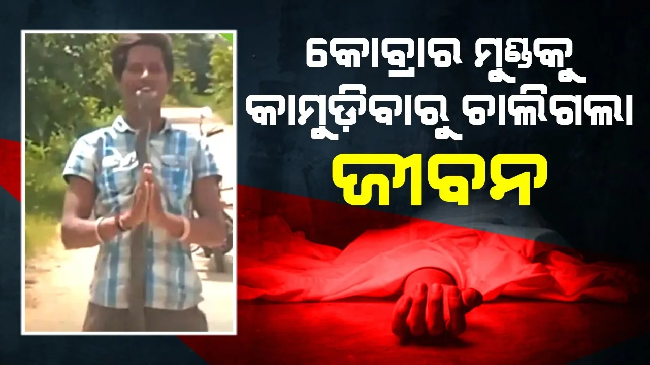  ଭାଇରାଲ ହେବା ପାଇଁ କୋବ୍ରାର ମୁଣ୍ଡକୁ କାମୁଡ଼ିଥିଲେ, ଚାଲିଗଲା ଜୀବନ
