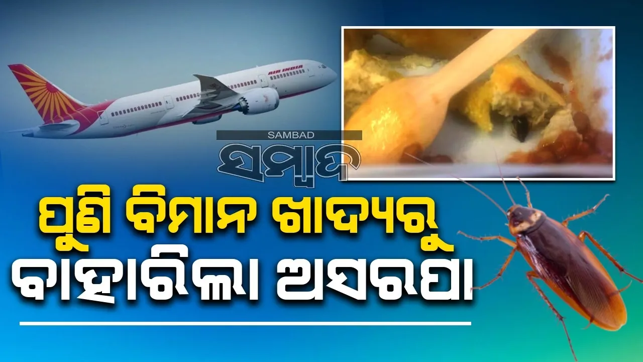  ମୋର ଦୁଇବର୍ଷର ପୁଅ ବିମାନରେ ଖାଉଥିବା ଆମଲେଟରୁ ବାହାରିଲା ଅସରପା