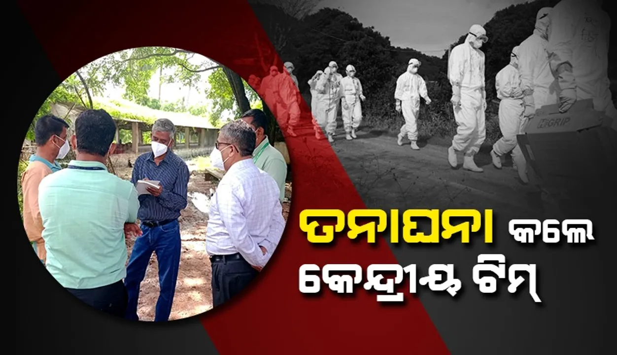  ବାର୍ଡ-ଫ୍ଲୁ ନେଇ ତିନି ଜଣିଆ କେନ୍ଦ୍ରୀୟ ଟିମ୍‌ଙ୍କ ତନାଘନା