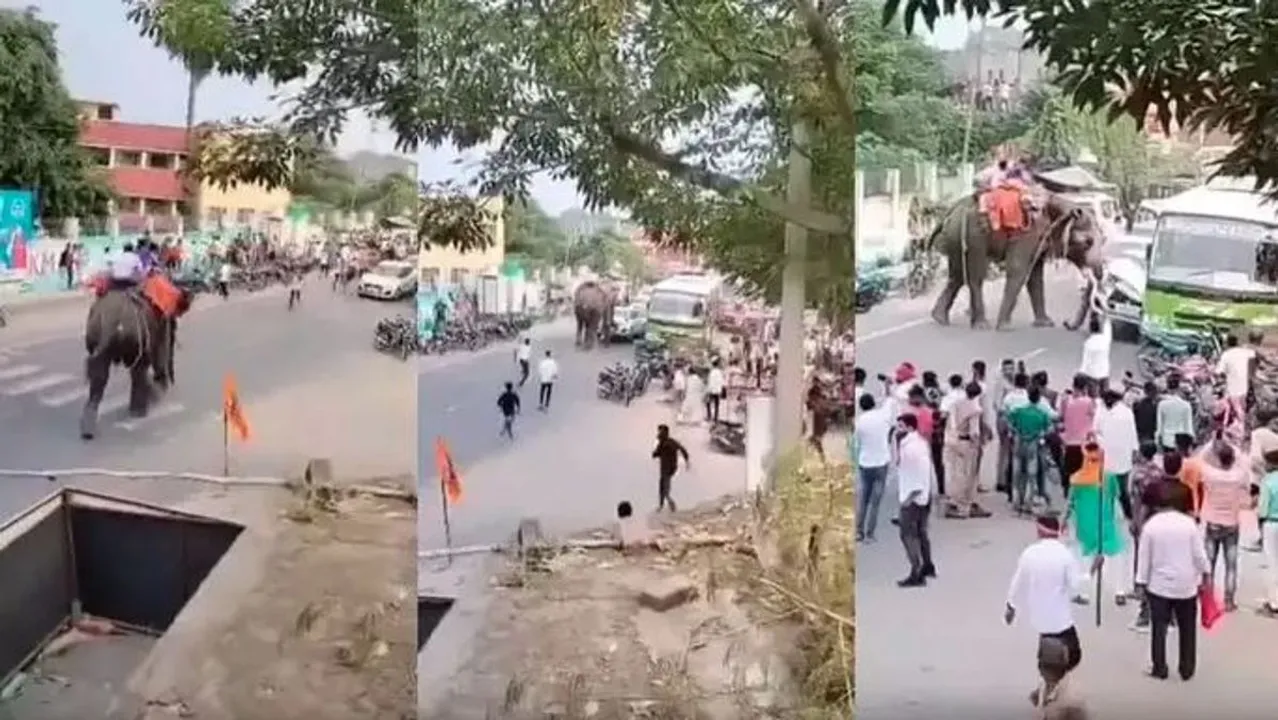  ଦଶହରା ଶୋଭାଯାତ୍ରାରେ ହାତୀ ଖେଳନା ପରି କାରକୁ ଓଲଟାଇଲା, ଭିଡିଓ ଭାଇରାଲ...