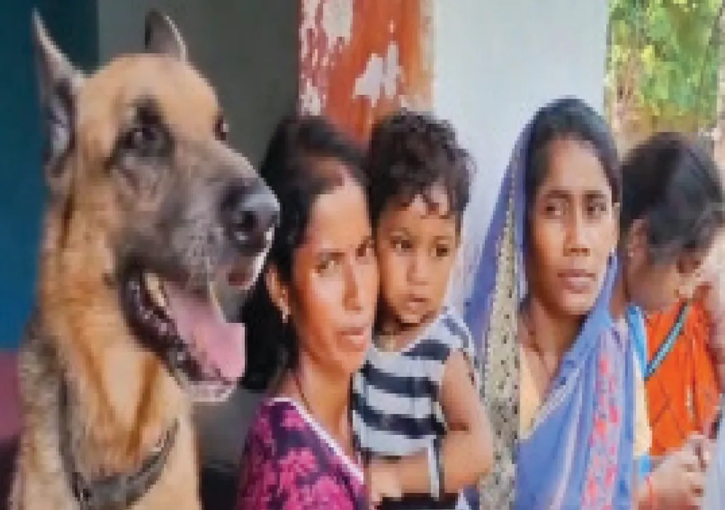  କଲରାପତରିଆ ବାଘ ଆତଙ୍କ: ବାଳକକୁ ମରଣମୁହଁରୁ ଛଡ଼ାଇ ଆଣିଲା ପୋଷାକୁକୁର