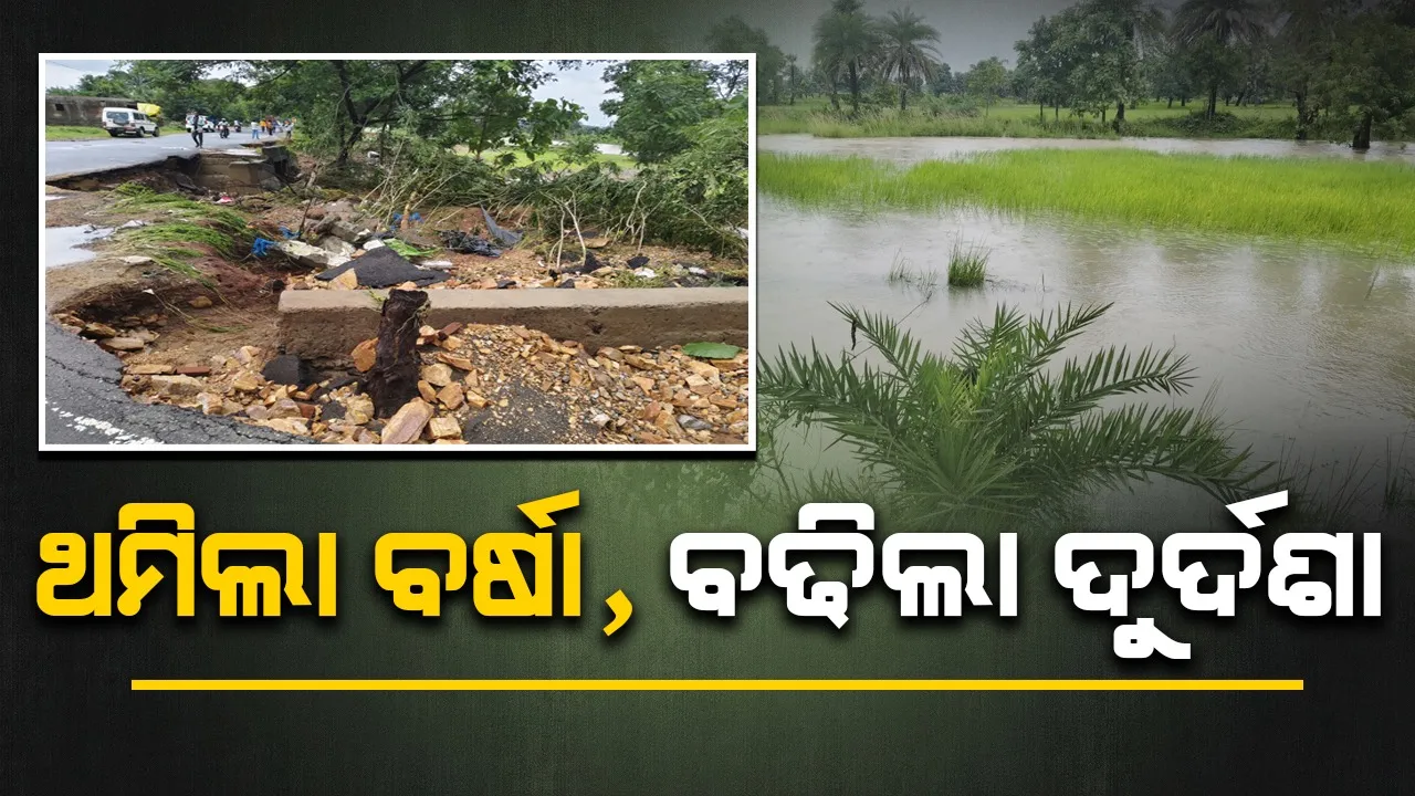  ମାଲକାନଗିରିରେ ବର୍ଷା: ବଞ୍ଚିଲା ଜୀବନ, ନଷ୍ଟ ହେଲା ଧନ