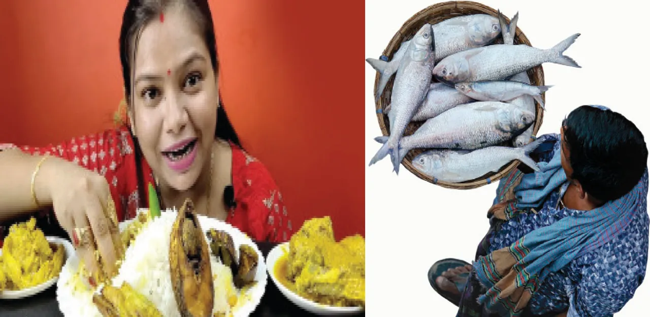  ଇଲିଶି ସୁଆଦ  ପୂରୁଛି ମିଆଦ!