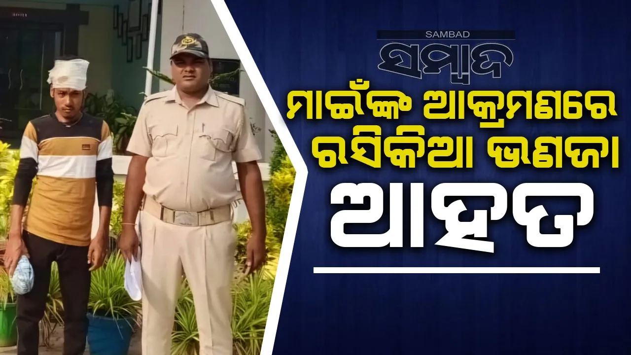  ମାଇଁଙ୍କୁ ଅସଦାଚରଣ ଉଦ୍ୟମ, ରସିକିଆ ଭଣଜା ଗିରଫ