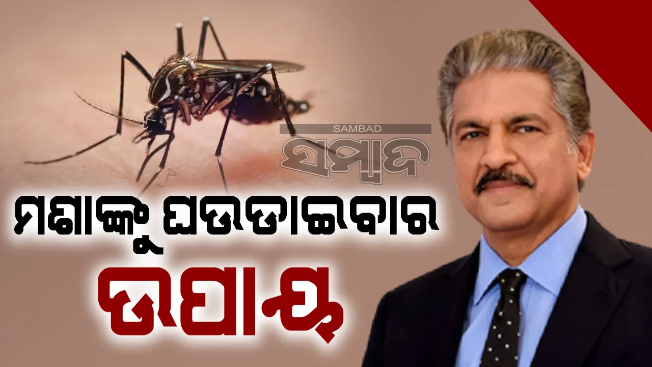  ବୃଦ୍ଧି ପାଉଥିବା ଡେଙ୍ଗୁ ରୋଗକୁ ଦେଖି ମହିନ୍ଦ୍ରା କଲେ ଏଭଳି ପୋଷ୍ଟ