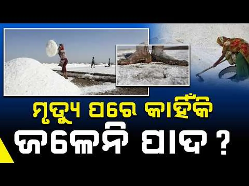 ମୃତ୍ୟୁ ପରେ ବି ସାଥ୍ ଛାଡ଼େନି ଲୁଣ: The Untold Struggles of Gujarat’s Salt Workers | Sambad