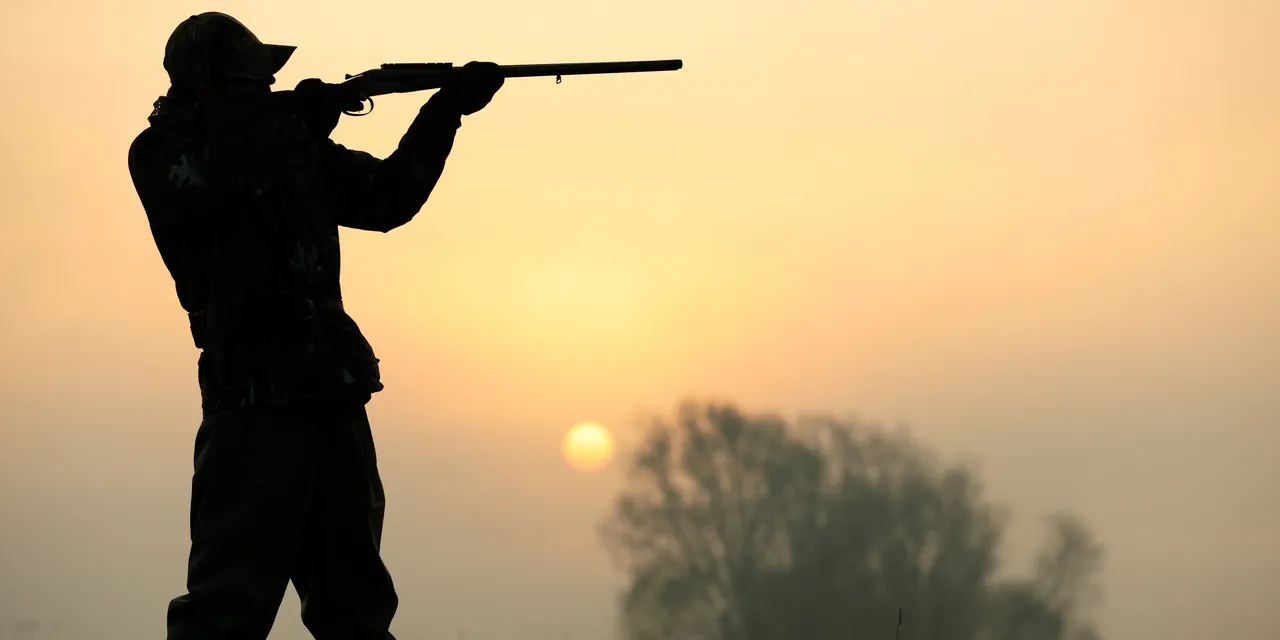  Silhouette of a hunter aiming his shotgun 