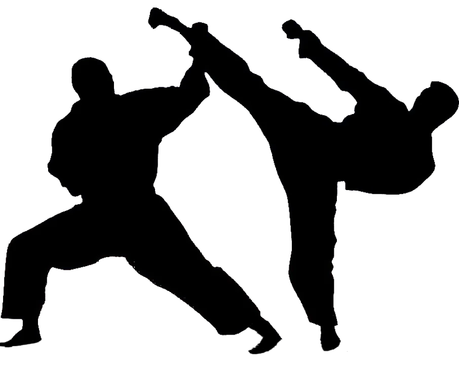  ବିଶ୍ୱ ବିଜୟୀ କରାଟେକା