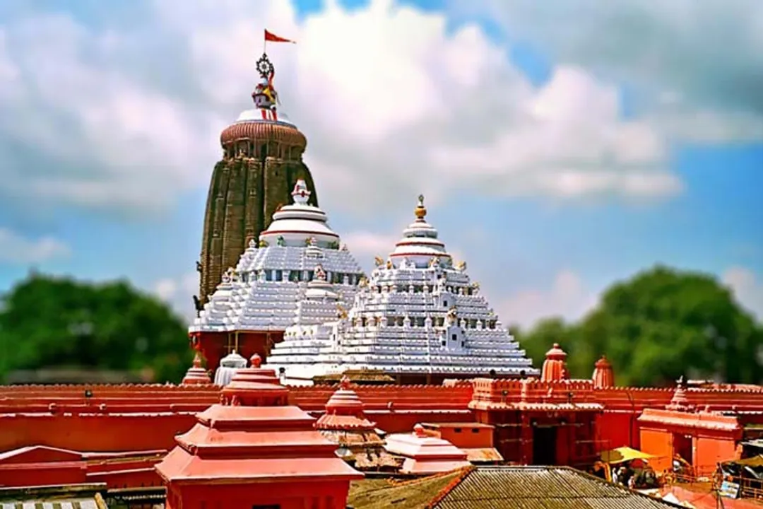  ପୁରୀ: ବନକଲାଗି ନୀତି ପାଇଁ ୪ ଘଣ୍ଟା ବନ୍ଦ ରହିବ ଶ୍ରୀଜୀଉଙ୍କ ଦର୍ଶନ