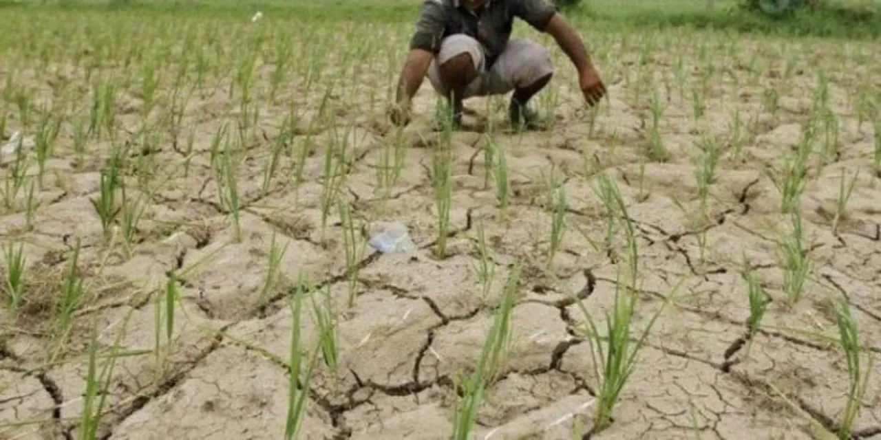  Photo by : thehansindia.com 