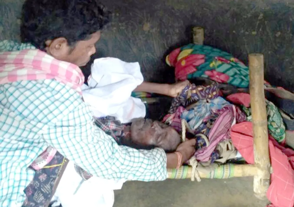  ମହୁମାଛି ଆକ୍ରମଣରେ ଦୁଇ ଭାଇ ମୃତ, ପରିବାର ବେସାହାରା