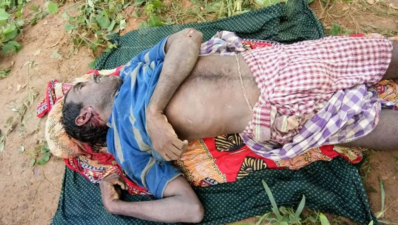  ବାର୍‌ହା ଶିକାର ପାଇଁ ଗୁଳି : ଚାଷୀଙ୍କ ଜୀବନ ଗଲା