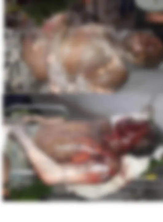  ଯାଜପୁର: ବାଣ ଭିଡ଼ୁଥିବା ବେଳେ ବିସ୍ଫୋରଣ, ୨ ଗୁରୁତର