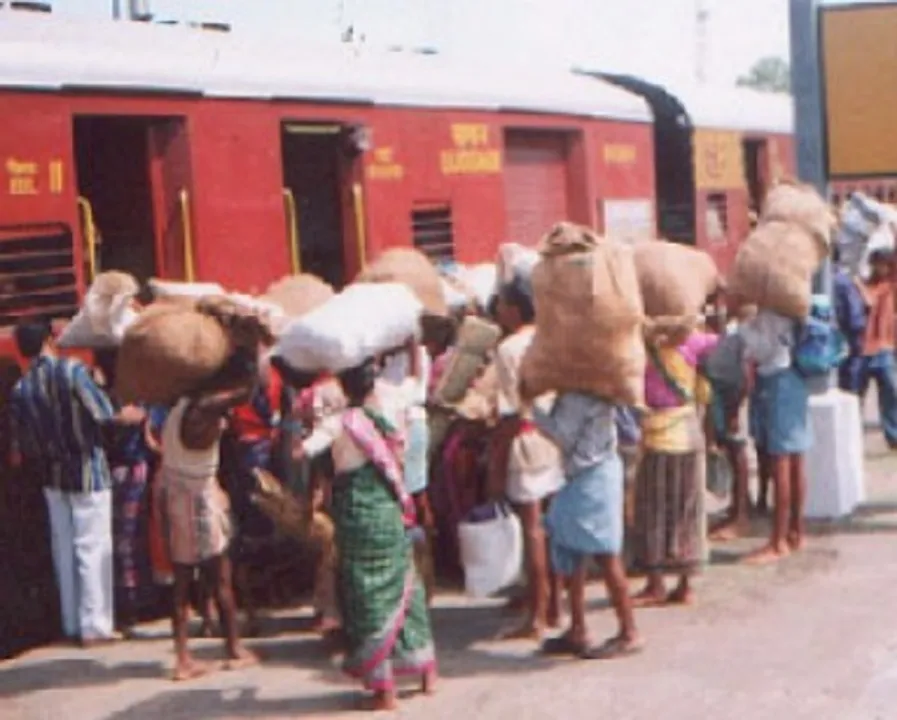  ଗୋତି ଶ୍ରମିକ ପାଇଁ ଓଡ଼ିଶା ବଦନାମ: ଅଗ୍ରିମ ଟଙ୍କା ‌ନେଇ ମୁଣ୍ଡ ବିକୁଛନ୍ତି