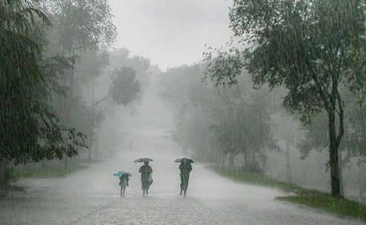  Photo by : wp.com 