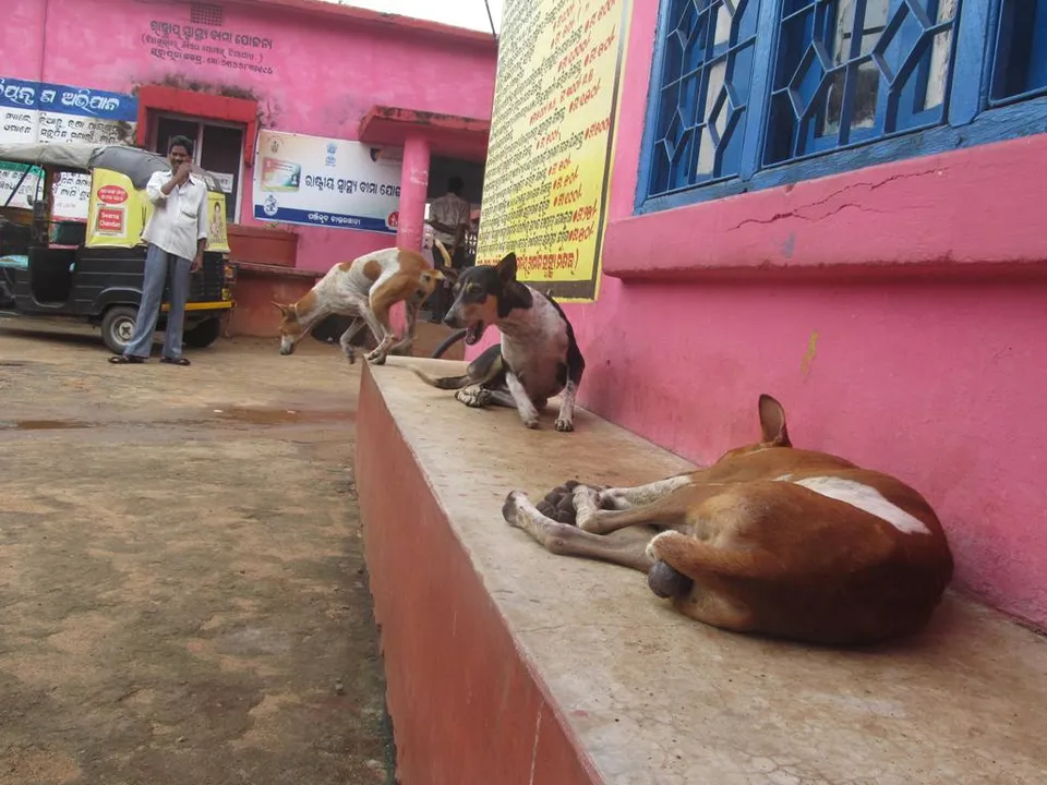  ଅବ୍ୟବସ୍ଥାରେ ରାଜସୁନାଖଳା ଗୋଷ୍ଠୀ ସ୍ୱାସ୍ଥ୍ୟକେନ୍ଦ୍ର