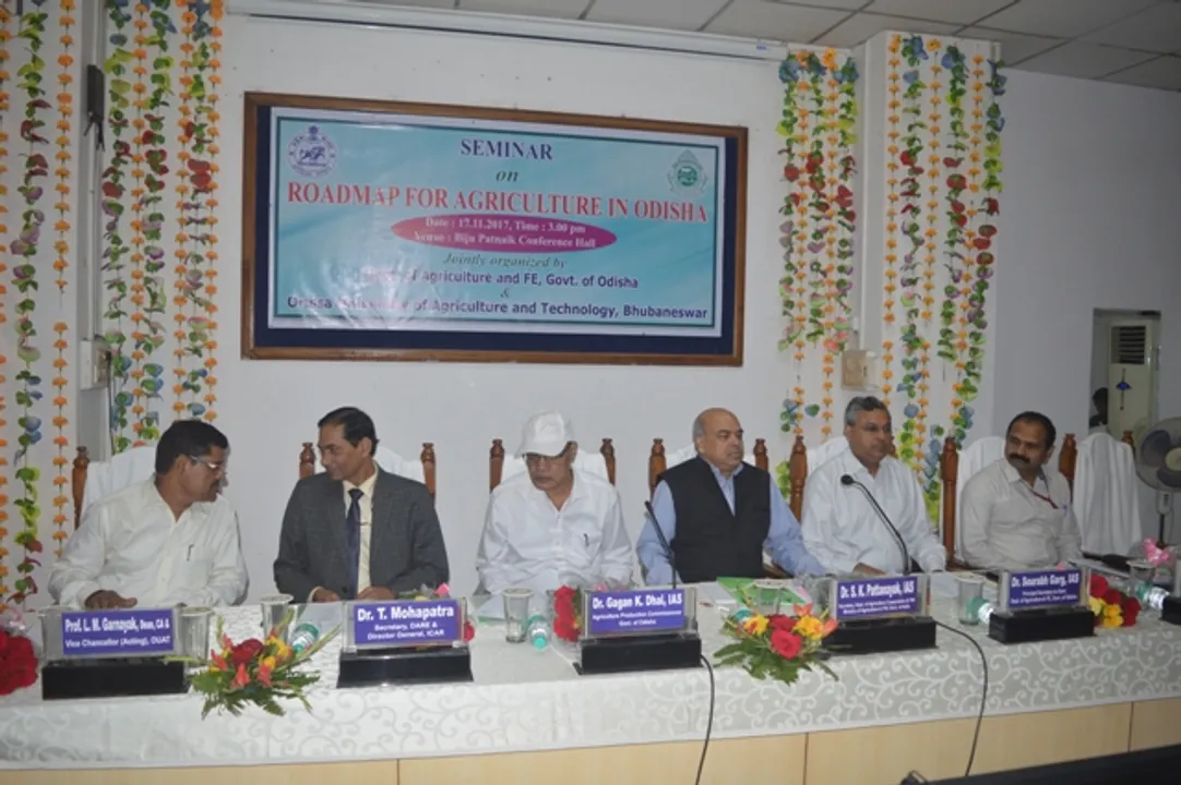  ଭିତ୍ତିଭୂମି ଅଛି, ଅଶାନୁରୂପ ଉତ୍ପାଦନ ହେଉନି