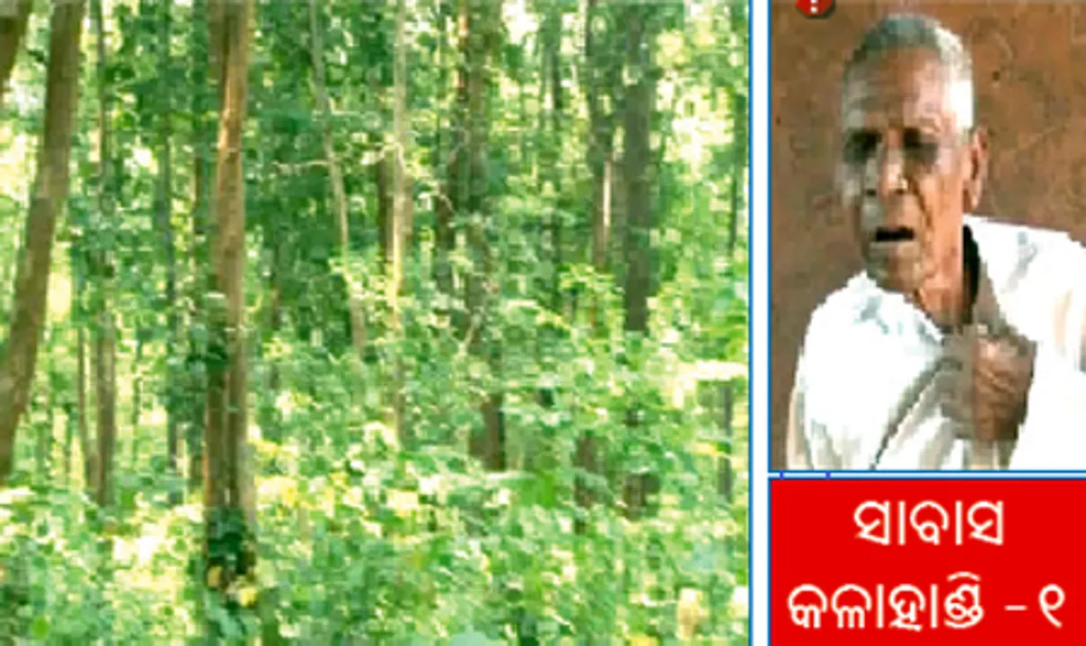  ସୁନ୍ଦରମତୀ କାନନ ସବୁଜ ବିପ୍ଲବର ପୁରୋଧା କାର୍ତ୍ତିକ ମାଝୀ