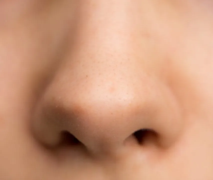  photo-sciencedaily.com 