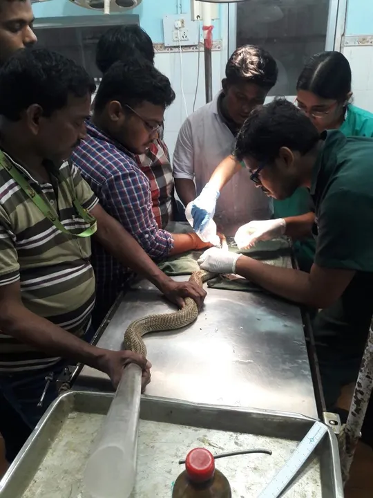  ଆହତ ନାଗର ସଫଳ ଅସ୍ତ୍ରୋପଚାର