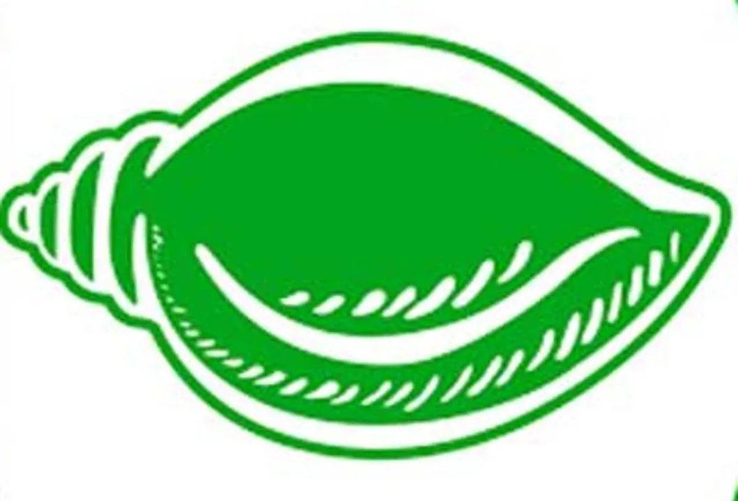  ବିଲ୍‌ରେ ବିରୋଧାଭାସ ରହିଛି: ବିଜେଡି