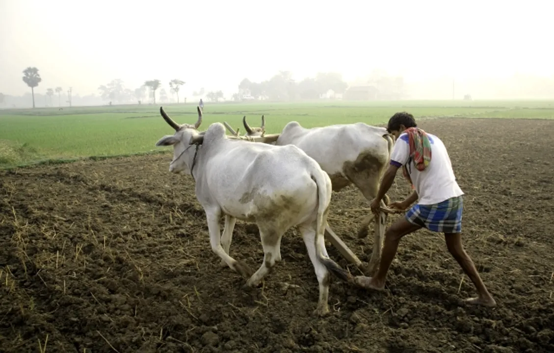  ଖରିଫ ପ୍ରସ୍ତୁତି, ୯ ହଜାର କୋଟି ଫସଲ ଋଣ ଯୋଗାଣ ଲକ୍ଷ୍ୟ
