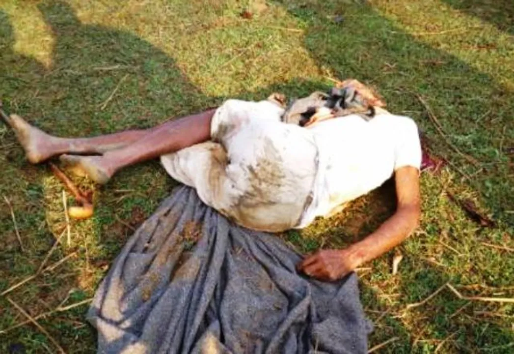  ଖୋର୍ଦ୍ଧା:ହାତୀ ଆକ୍ରମଣରେ ବୃଦ୍ଧ ମୃତ