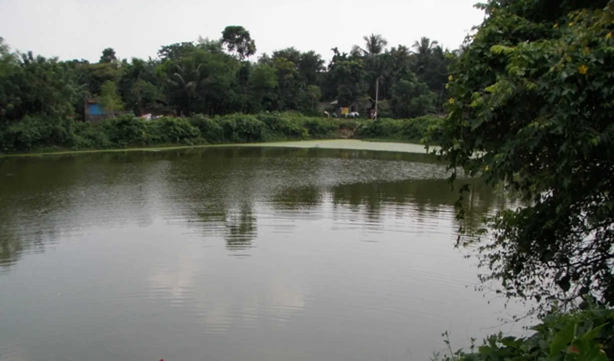  ଭୁବନ: ପୋଖରୀରେ ଭାସୁଛି ଚାରି ପାଞ୍ଚ ମାସର ଭ୍ରୁଣ!