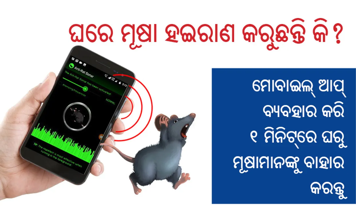  ଘରେ ମୂଷା ହଇରାଣ  କରୁଛନ୍ତି କି? ମୋବାଇଲ୍‌ ଆପ୍‌ ବ୍ୟବହାର କରି ୧ ମିନିଟ୍‌ରେ ଘରୁ ମୂଷାମାନଙ୍କୁ ବାହାର କରନ୍ତୁ