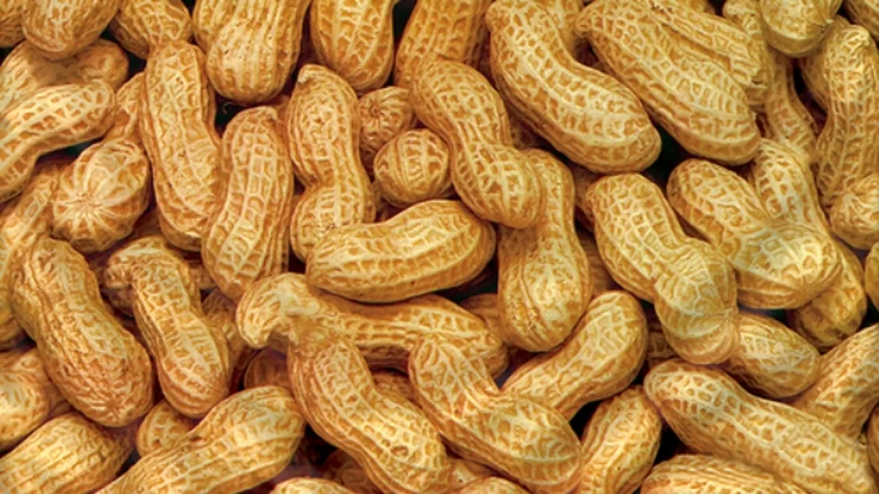  ୖୀହସହ- tradeindia.com 