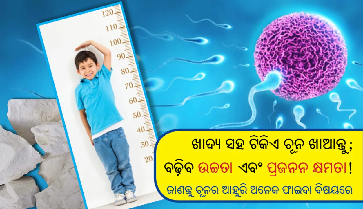  ଖାଦ୍ୟ ସହ ଟିକିଏ ଚୂନ ଖାଆନ୍ତୁ; ବଢ଼ିବ ଉଚ୍ଚତା ଏବଂ ପ୍ରଜନନ କ୍ଷମତା! ଜାଣନ୍ତୁ ଚୂନର ଆହୁରି ଅନେକ ଫାଇଦା ବିଷୟରେ