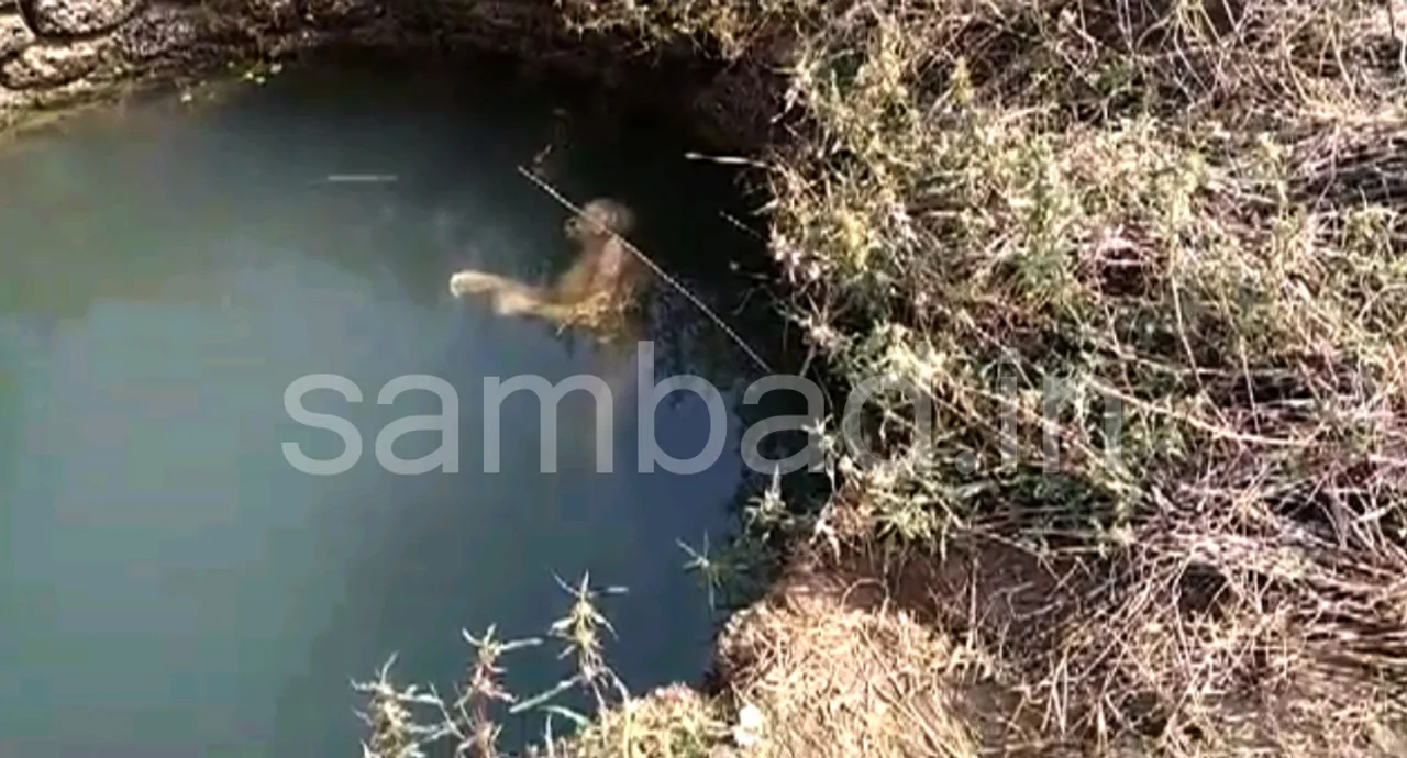  ନୀଳଗିରି: କୂଅରୁ ଯୁବକଙ୍କ ମୃତଦେହ ଉଦ୍ଧାର