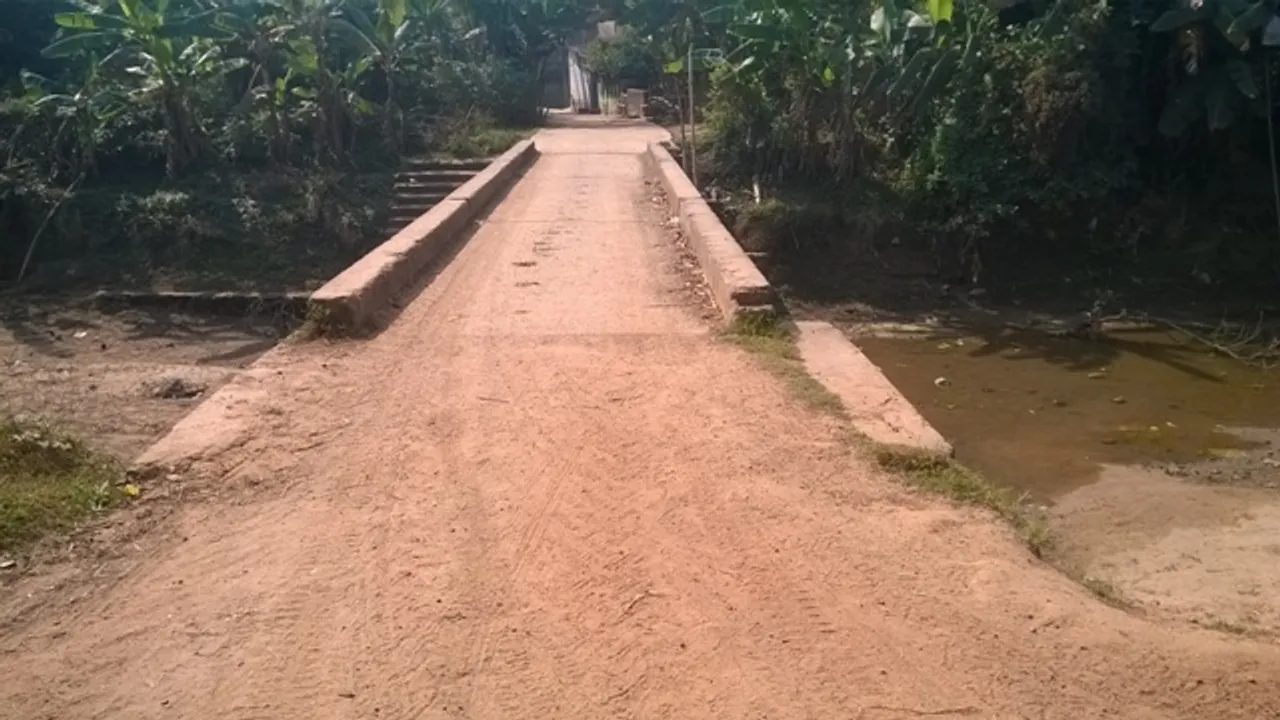  ଗୃହପାଳିତ ପଶୁଙ୍କ ପାଇଁ ମରଣଯନ୍ତା ପାଲଟିଛି ଧବଳାହାର ମୁକୁଳା ବ୍ରିଜ୍‌