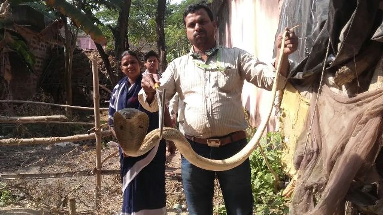  ରୋଷେଇ ଘରୁ ୫ ଫୁଟିଆ ନାଗ ଉଦ୍ଧାର