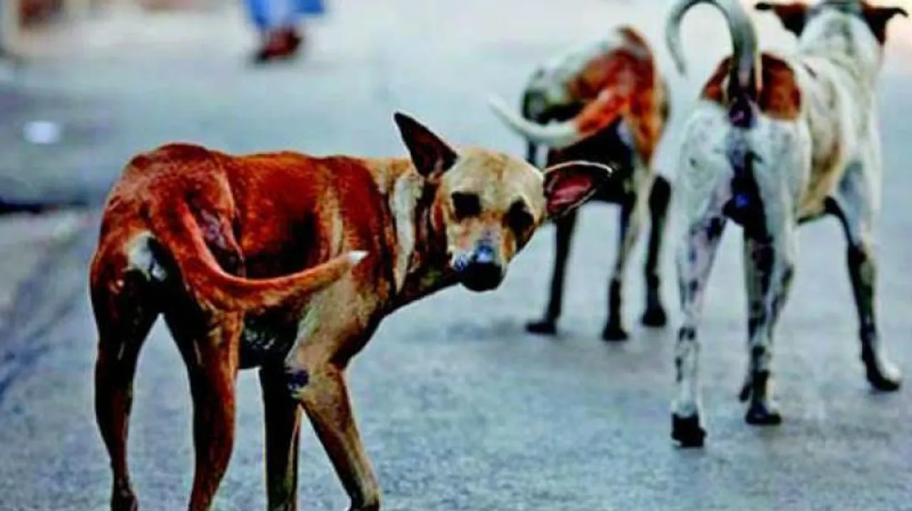  Image Courtesy of Deccan Chronicle 