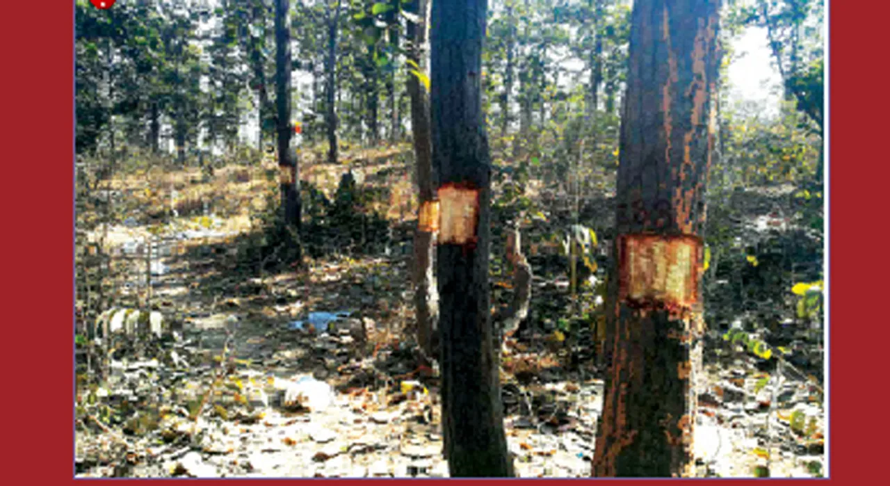  କଣ୍ଟାଟିକ୍ରା ଗ୍ରାମ୍ୟ ଜଙ୍ଗଲ ଗଛକଟାକୁ ନେଇ ଉତ୍ତେଜନା
