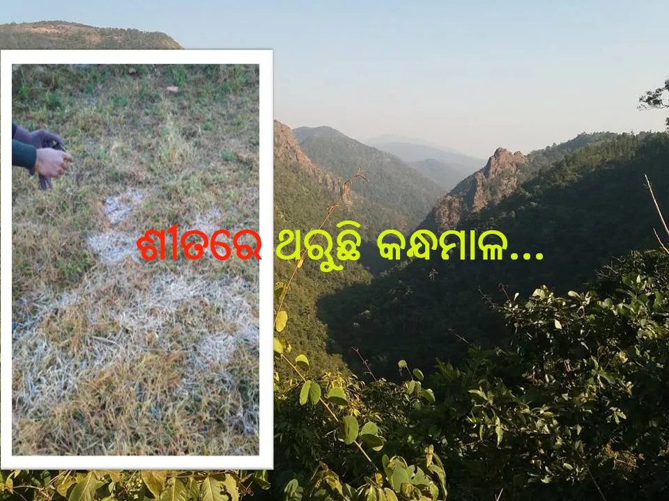  ପୁଣି ଖସିଲା ପାରା: ଥରେଇଲା ଶୀତ, ଘୁ. ଉଦୟଗିରିରେ ତାପମାତ୍ରା ୩.୩ ଡିଗ୍ରି