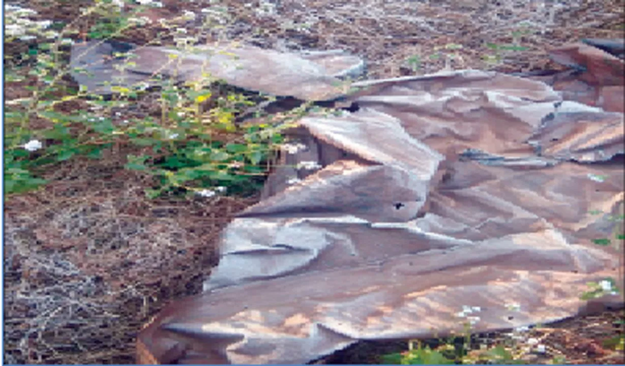  କାଞ୍ଜିପାଣିରେ ତୁଷାରପାତ