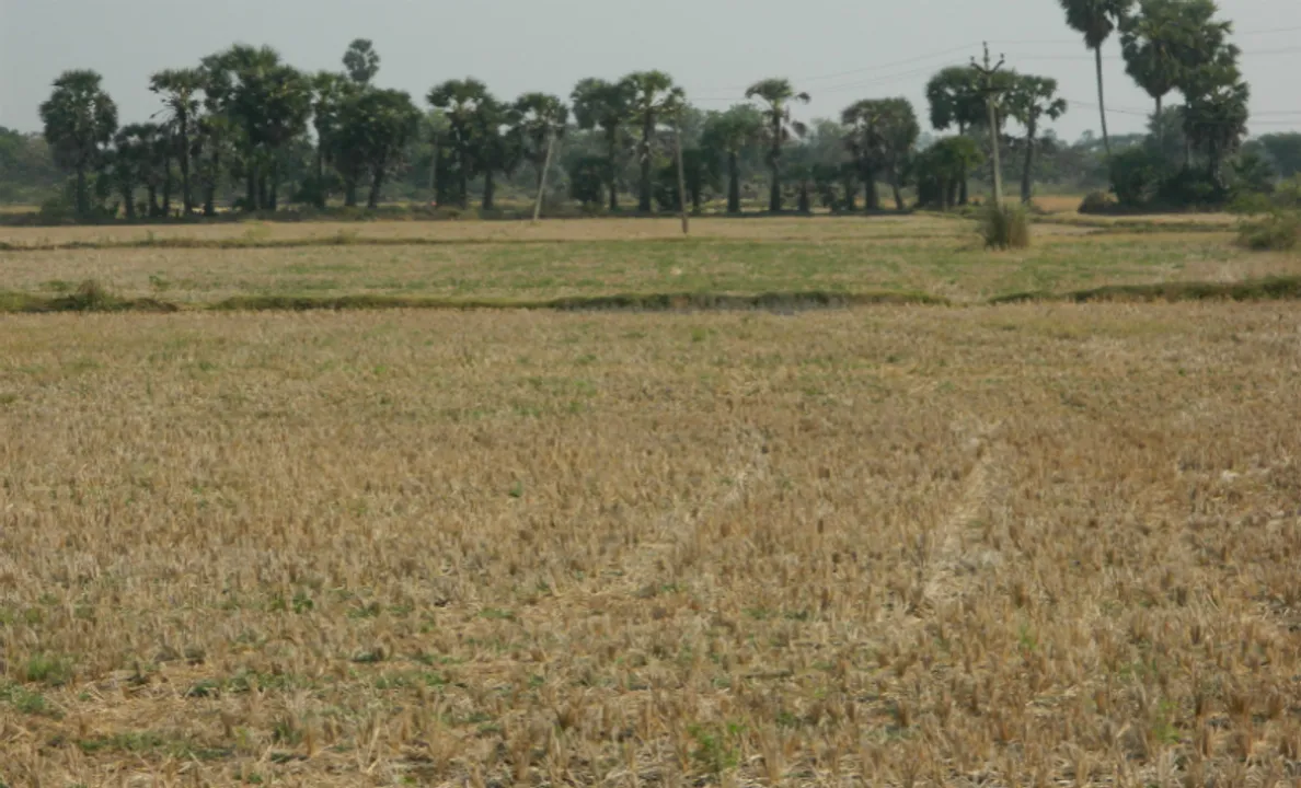  ସନ୍ଦେହ ଘେରରେ ସବ୍‌ରେଜିଷ୍ଟ୍ରାର୍‌, ଆର୍‌ଆଇଙ୍କ ଭୂମିକା