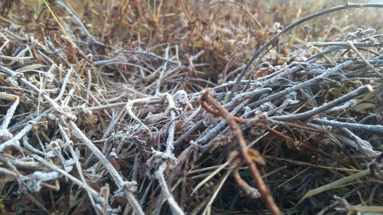  ଘୁ.ଉଦୟଗିରିରେ ତୁଷାରପାତ ଜାରି
