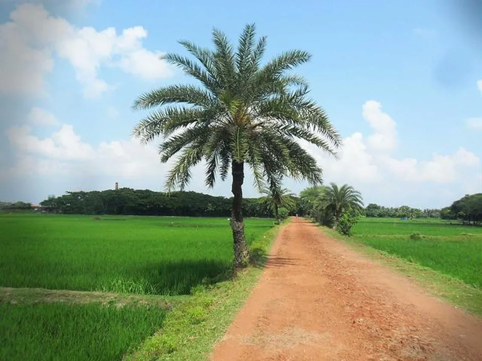  ରାସ୍ତା ପାଇଁ ଅର୍ଥ ଚିନ୍ତା