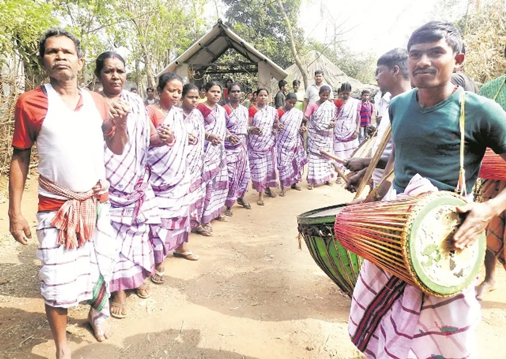  ସାଲିଆସାହିରେ ମକର ମଉଜ