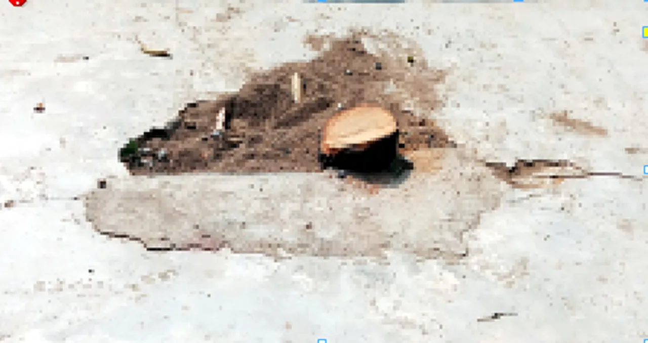  ଭଗବତୀ ମନ୍ଦିର ପ୍ରାଙ୍ଗଣରୁ ଚନ୍ଦନ ଗଛ ଚୋରି