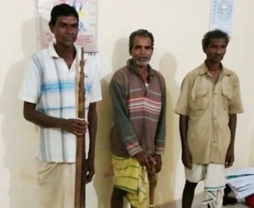  ଶିମିଳିପାଳରୁ ପୁଣି ୩ ଶିକାରୀ ଗିରଫ    