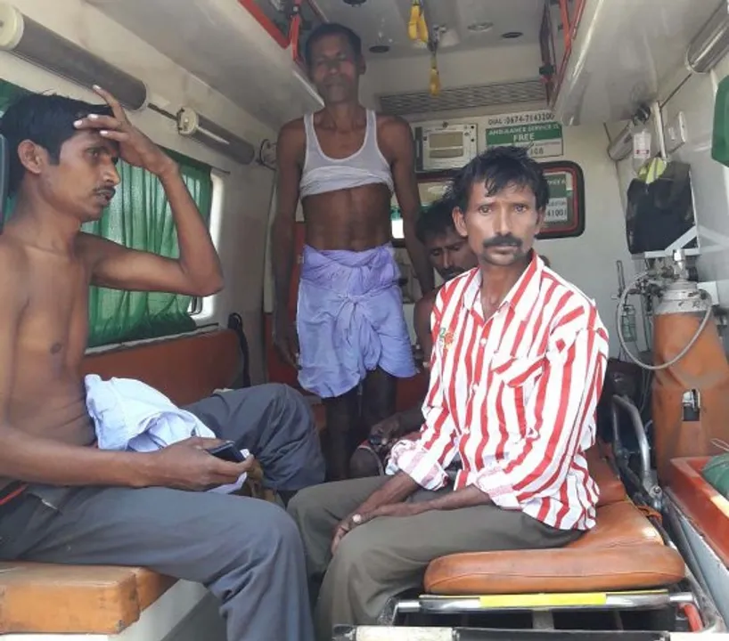 ମହୁମାଛି ଆକ୍ରମଣରେ ୫ ଗୁରୁତର