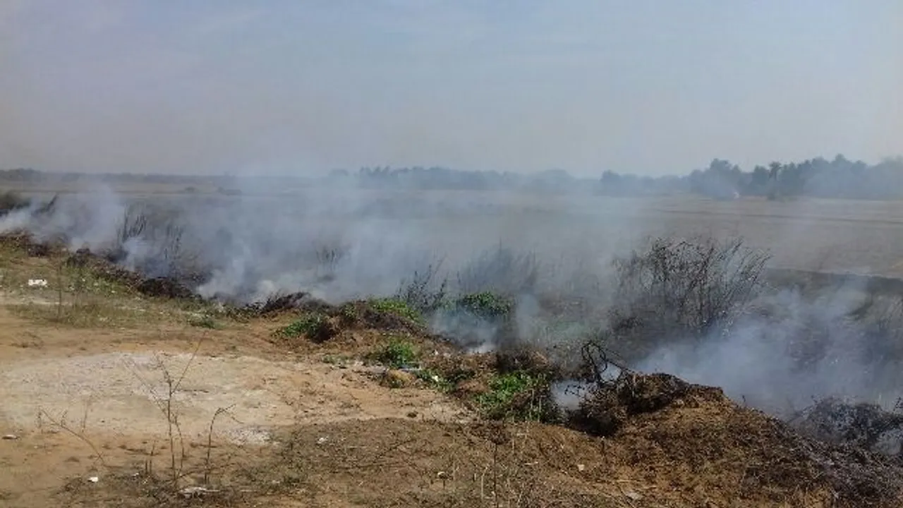  ଜାତୀୟ ରାଜପଥ ପାର୍ଶ୍ୱରେ ଜଳିଗଲା ହଜାରେ ଗଛ