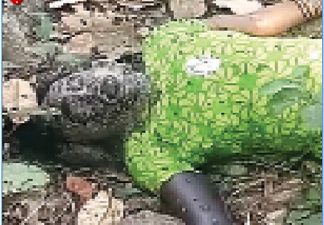  ଅଚିହ୍ନା ଯୁବତୀଙ୍କ ଶବ ଉଦ୍ଧାର