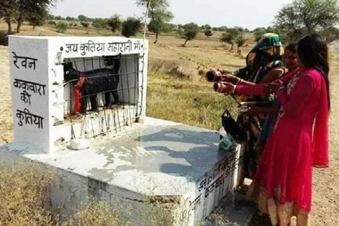  ‘କୁତ୍ତିୟା’ ଦେବୀ ମନ୍ଦିର: ଏଠାକୁ କୁକୁରକୁ ପୂଜା କରିବା ପାଇଁ ଆସିଥାନ୍ତି ଶ୍ରଦ୍ଧାଳୁ