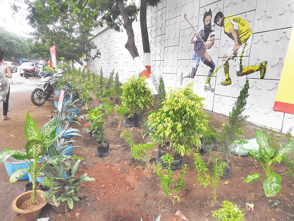  ଲୋକଦେଖାଣିଆ ସୌନ୍ଦର୍ଯ୍ୟକରଣ